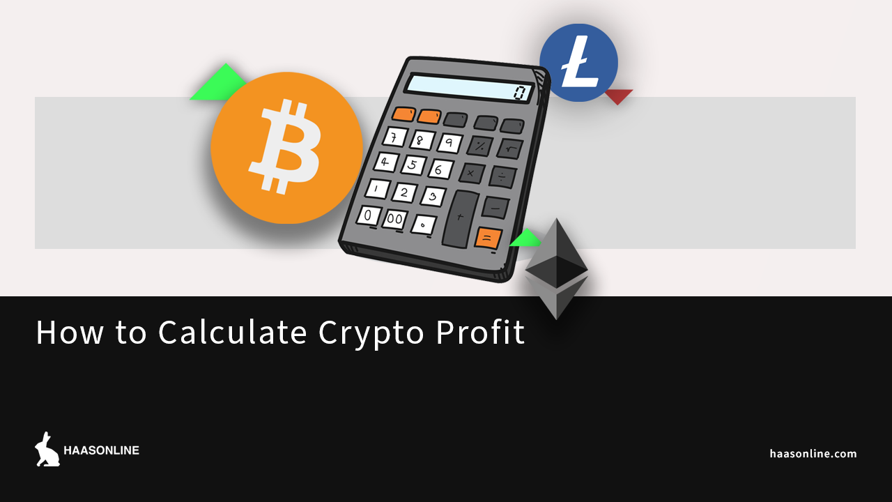 factor Persona australiana Alivio How to Calculate Crypto Profit? - HaasOnline